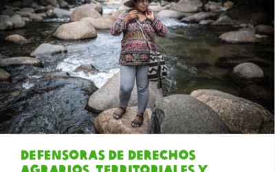 Defensoras de derechos agrarios, territoriales y medioambientales en Colombia. Arriesgando la vida por la paz